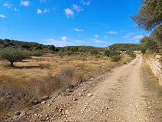 finca-rustica-con-acceso-rodado
